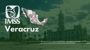 donde queda el IMSS en veracruz